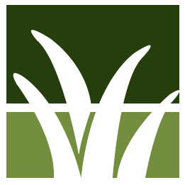 South Jordan Lawn Clean Up