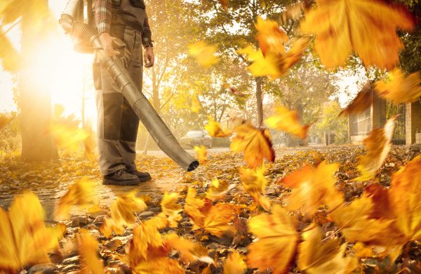 Cost of Leaf Blowing Service in South Jordan