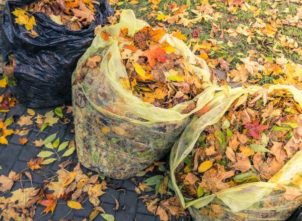 Cost of Yard Cleanup Service in South Jordan