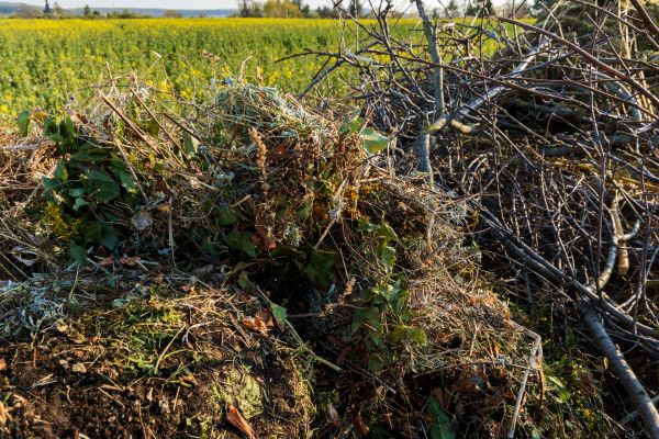 Cost of Brush Disposal in South Jordan