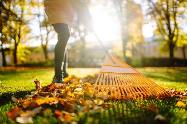 Cost of Leaves Raking in South Jordan