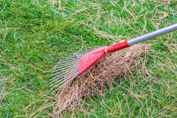 Cost of Yard Raking in South Jordan