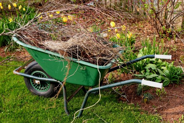 Cost of Lawn Waste Removal in South Jordan