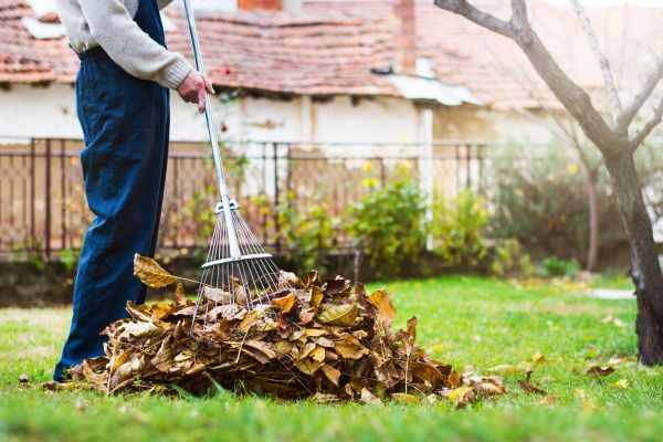 Cost of Fall Yard Cleanup Service in South Jordan