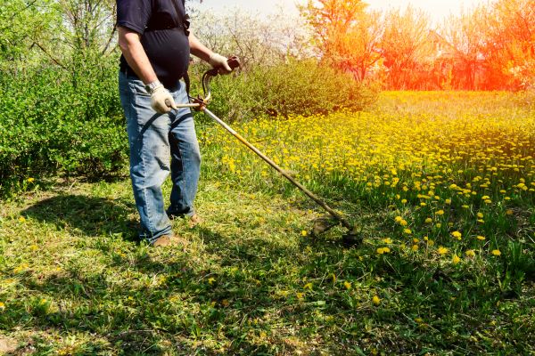 Cost of Yard Clearing Service in South Jordan