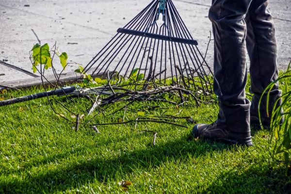 Cost of Yard Debris Cleanup in South Jordan